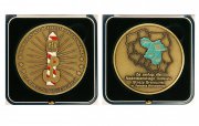 Medal „Za zasługi dla Nadwiślańskiego Oddziału Straży Granicznej” 