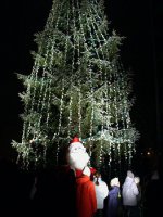 Osiem tysięcy światełek odblaskowych przeznaczonych dla dzieci świętokrzyskich szkół podstawowych zawieszono na choince przed Świętokrzyskim Urzędem Wojewódzkim
