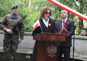 Święto Konstytucji #17 