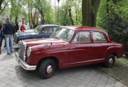 Święto Konstytucji #24 