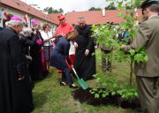 Jubileusz Pustelni Złotego Lasu. 