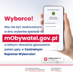 Wybory samorządowe: co można załatwić online