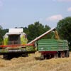 Apel wojewody świętokrzyskiego