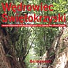 Kolejny numer "Wędrowca"